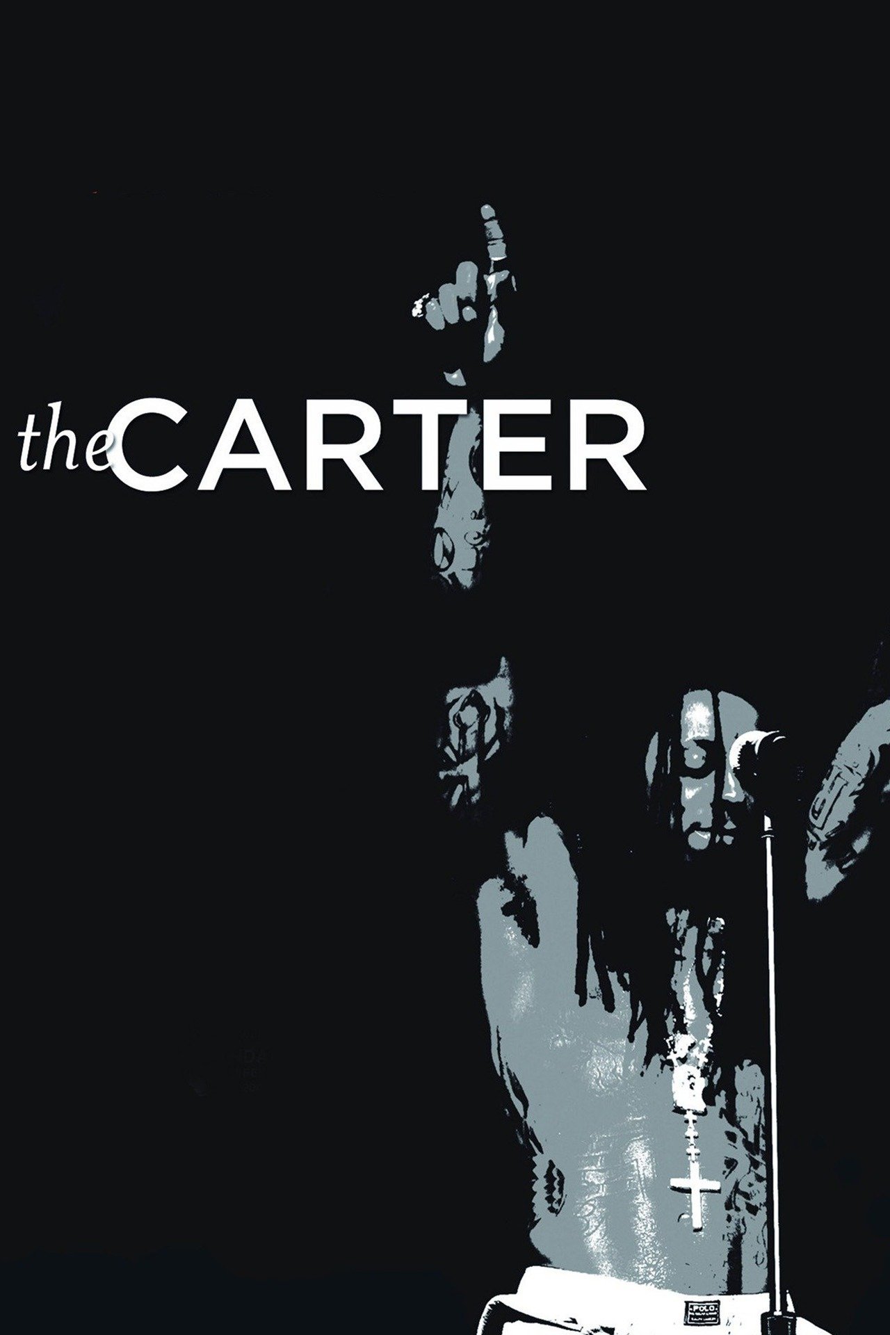 The Carter (2009) [186518] (A1737669871) [[Concerts &amp; Biopics]] --Plex--
